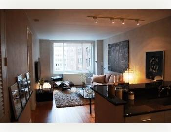 Luxury Convertible 1 Apartment for Rent in Green Building in Midtown Manhattan - Leed Certified - Friendly to the Environment