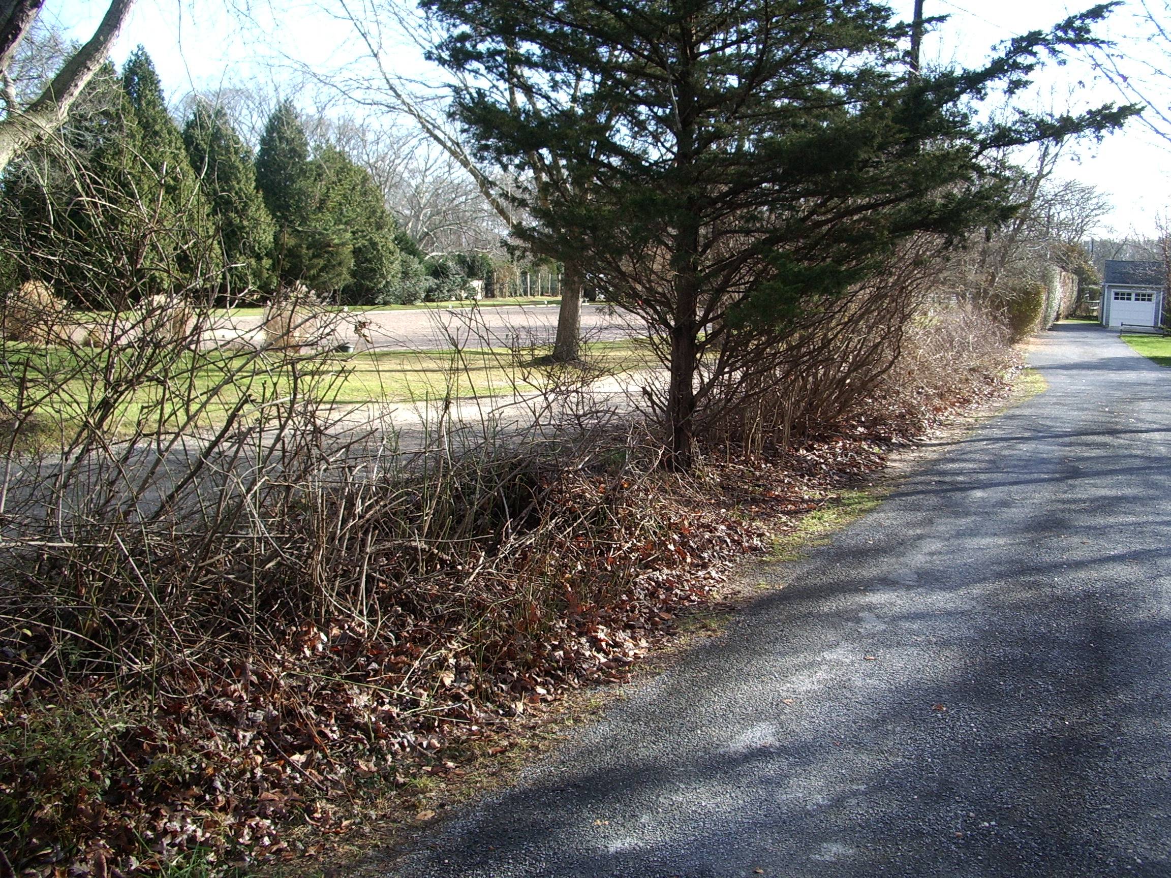 AMAGANSETT ACRE 