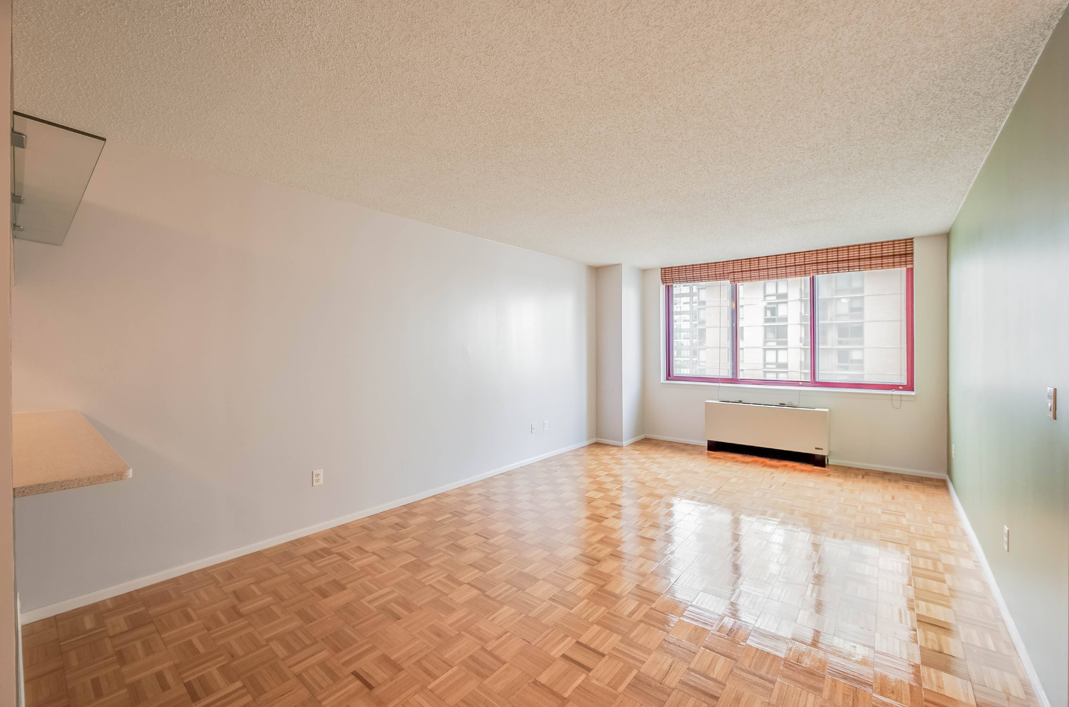 NO FEE Long Island City Spacious One Bed