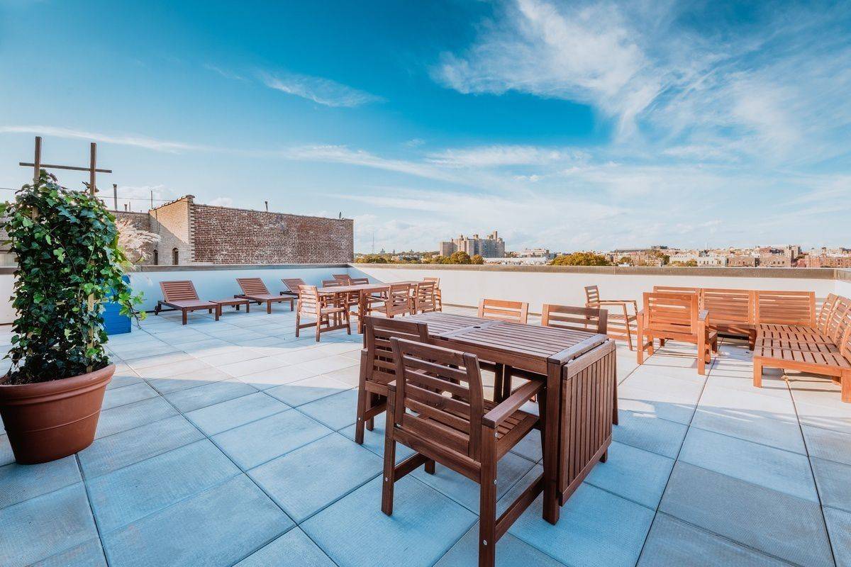 BRAND NEW! Prospect Lefferts Gardens- 293 PLG!!!