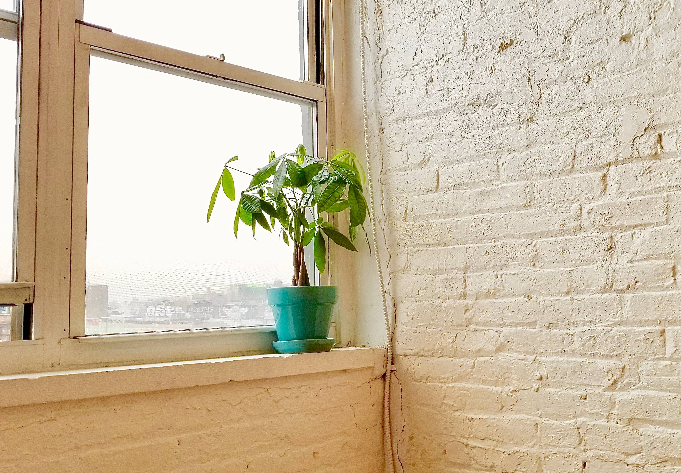 Massive Open Studio in Prime Bushwick Loft Building - No Broker Fee