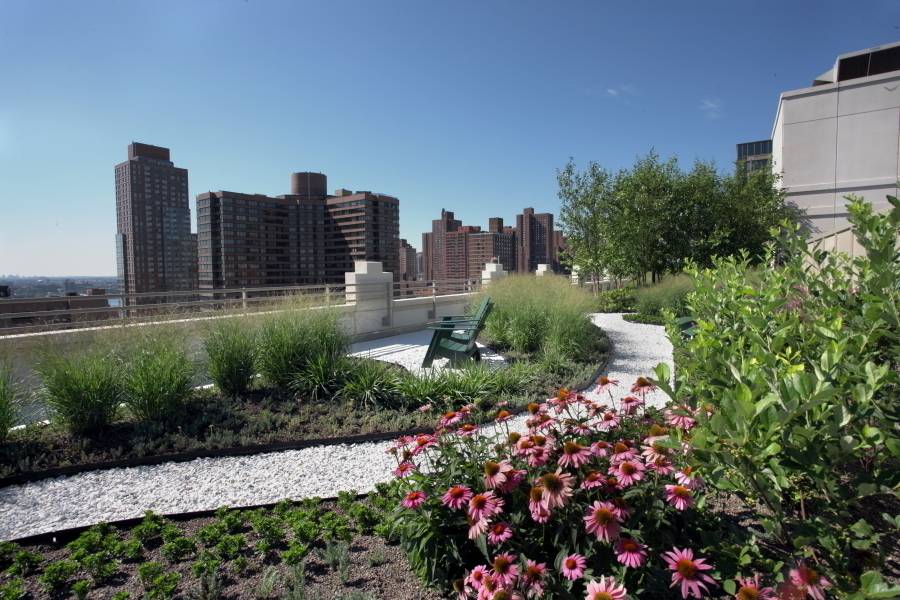 E98th & Lexington Avenue - LEED GREEN Building - State Of The Art - One Bedroom
