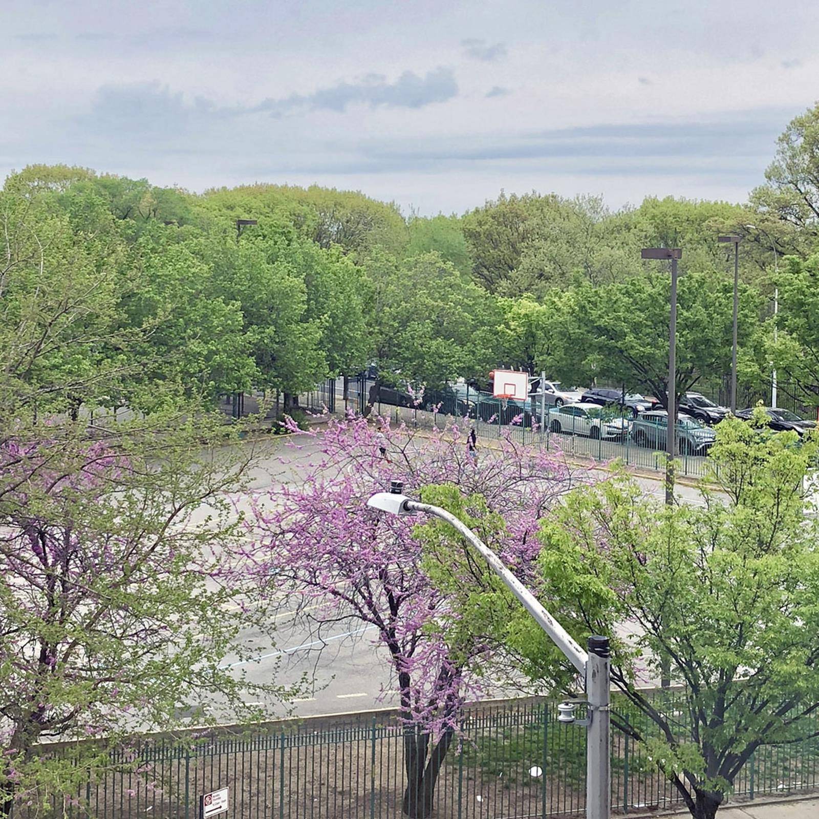 The Highbridge is a new boutique luxury condominium designed by Daniel Goldner Architects overlooking Highbridge Park in vibrant Washington Heights.