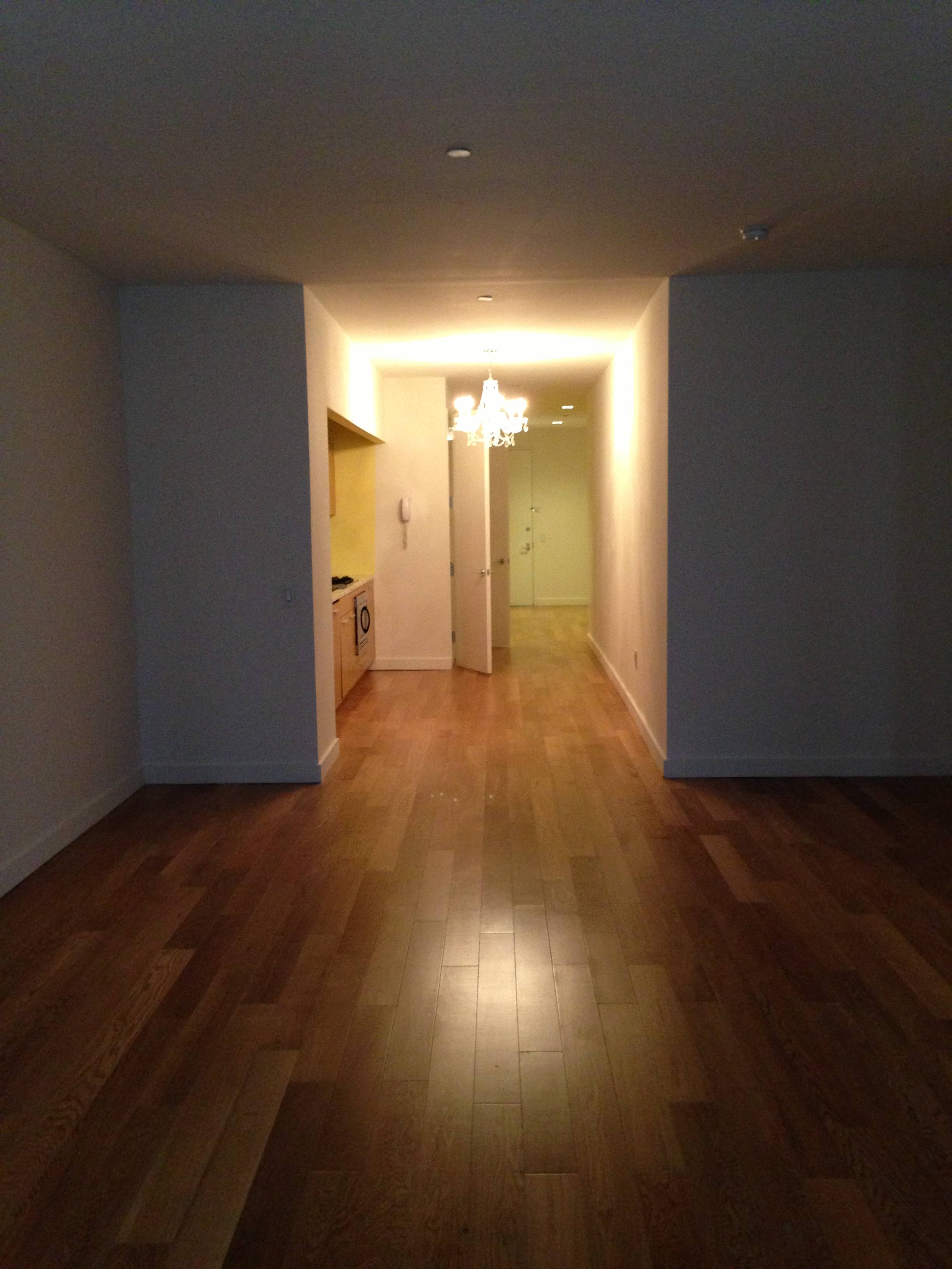 Spacious Modern 1Bed in FiDi