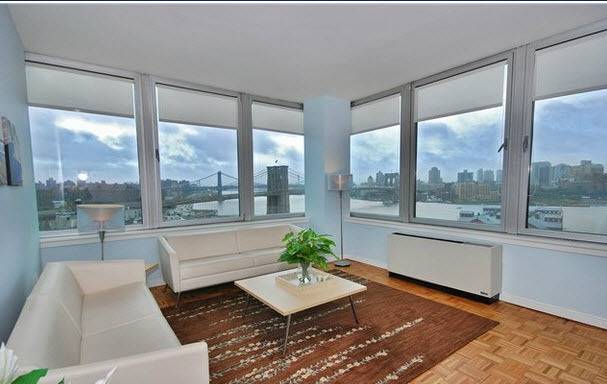 LUXURY 1BD RENTAL Apartments in FINANCIAL DISTRICT in New York City, PETS ALLOWED, Low Price