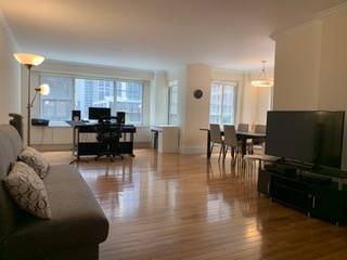 Stunning Midtown West Sleek Oversized Jr4 W/S Park View