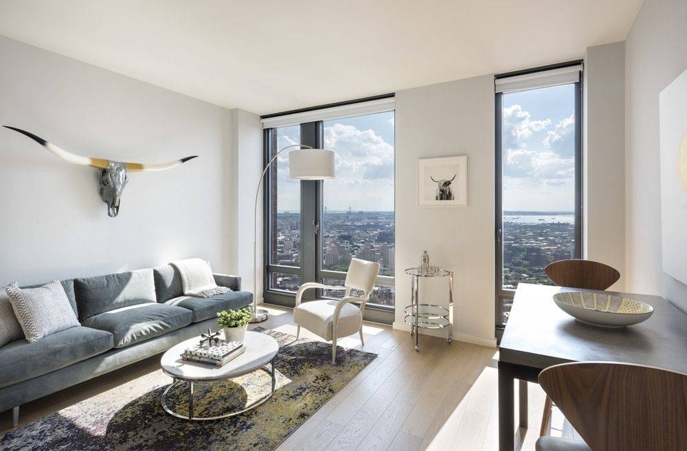 Wonderful Spacious Studio - Natural Light and Storage -  High End Fort Greene