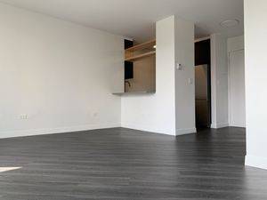 East Village/LES Studio with Balcony and Laundry in Elevator Building