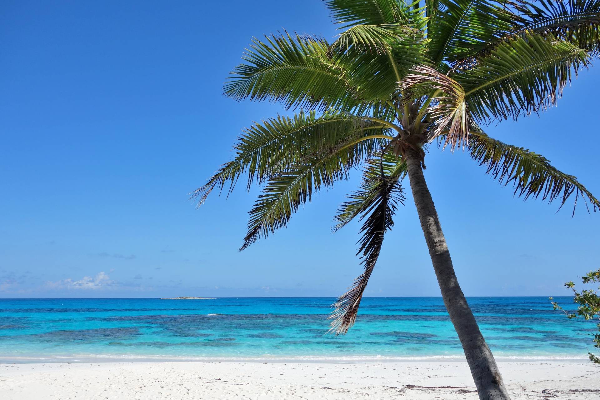 Breezy Hill Exuma Bahamas Beachfront B&B and Guest House for Sale -  Live in Paradise with Income