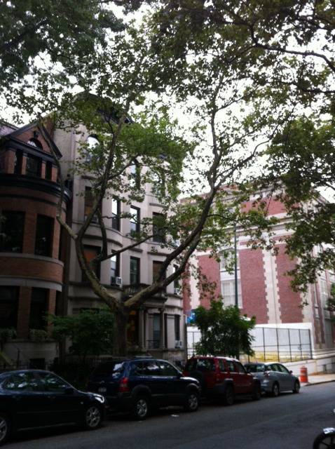 Park Slope  Investment Property   8 FamilyBrownstone / Limestone Rental Building * High Rent Roll*