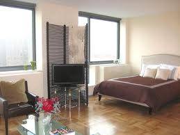 Downtown Brooklyn Gorgeous One Bedroom Apartment