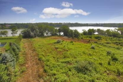 Land on the Pond