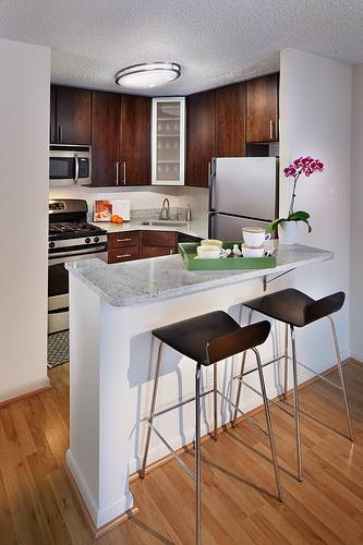 Luxury One Bedroom in Highly Coveted Luxury Building.  Flexible Lease terms.