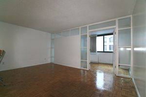 TRIBECA GEM - 1 Bedroom Highrise Condo Apt Available - 24 Hour Concierge - $2500