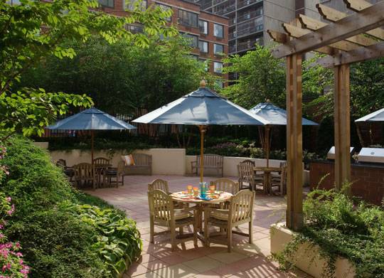 Junior 1 Bedroom Apartment for Rent in Clinton