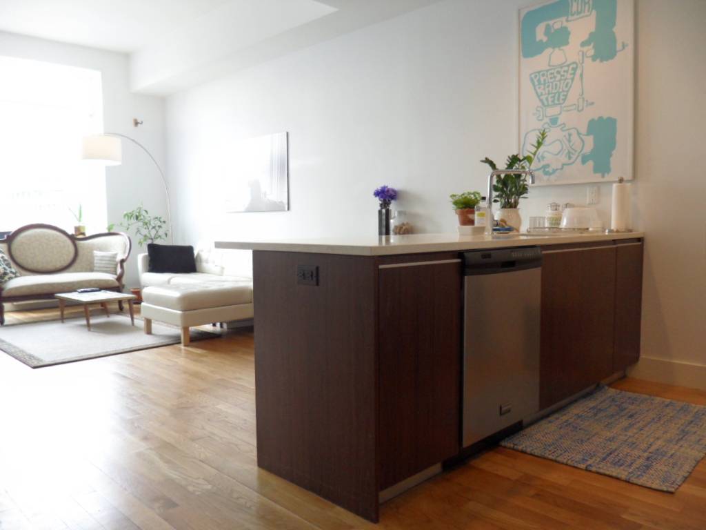 AMAZING 2 bed, 1 1/2 bath duplex with amazing HUGE private outdoor space! Manhattan views as well as McCarren Park!