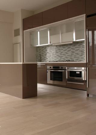 FINANCIAL DISTRICT CONDO RENTAL: 2 BED LUXURY LOFT - $4895