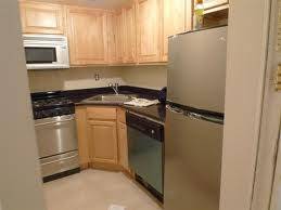 Dazzling! New! Duplex! Midtown West Side With Back Yard