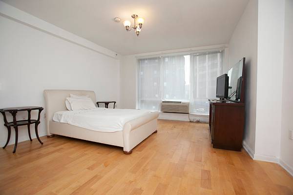 Sun-drenced large studio at the Echelon Condo in LIC
