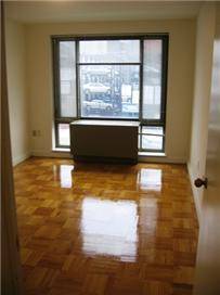 Large One Bedroom on Tree lined street, New kitchen, High ceilings.