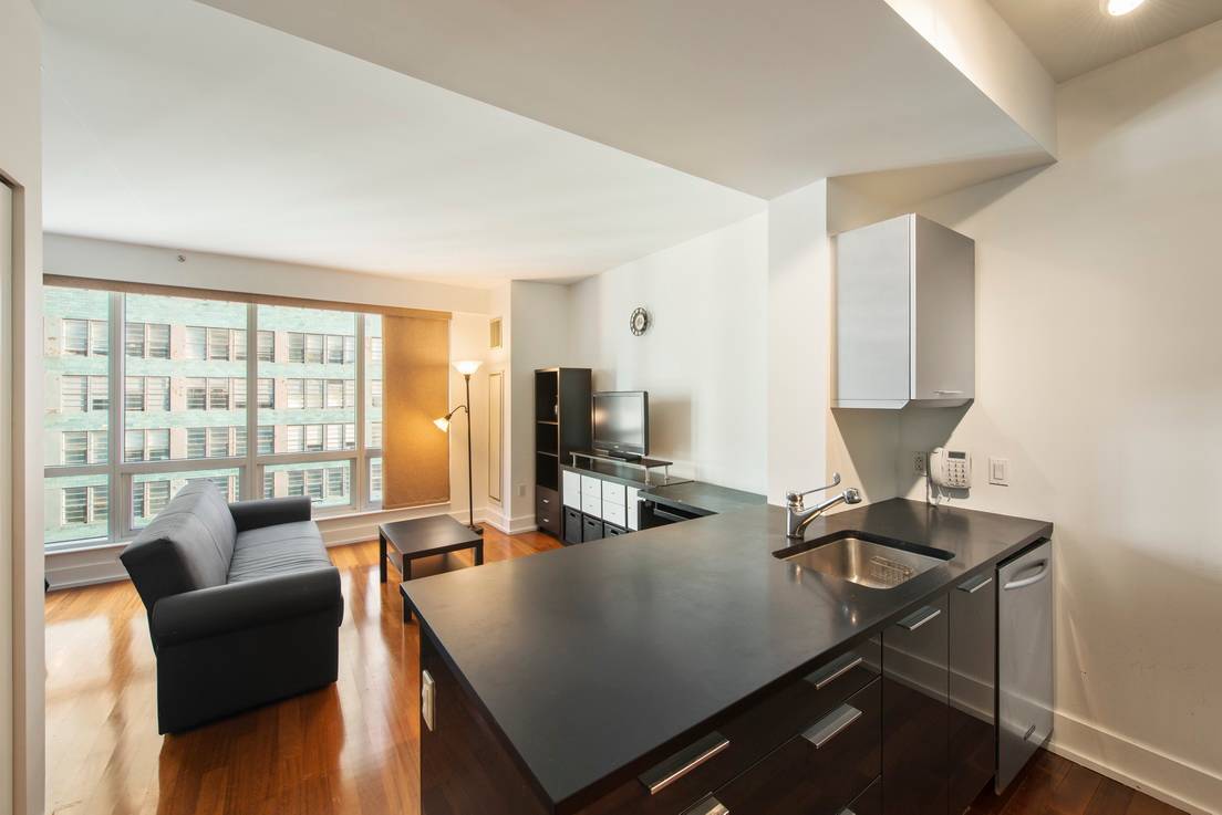 Furnished Alcove Studio in the Sky! 