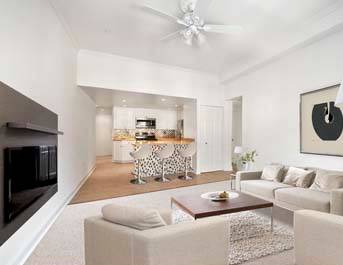 NEWLY RENOVATED THOMPSON STREET 1 BEDROOM 