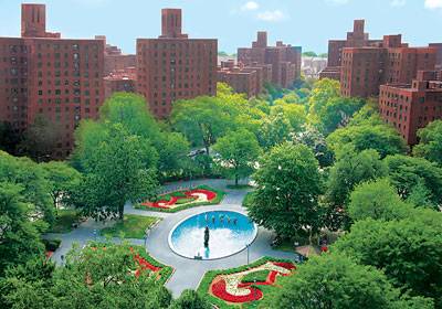 *Two Bedroom for Rent in Parkchester*