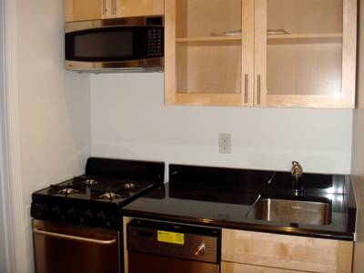 Beautiful Renovated 1 bedroom Apartment in East Village