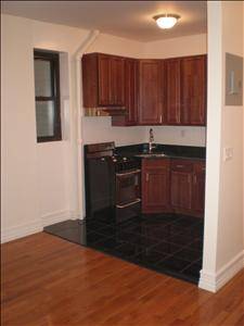 Brand new renovation - stainless steel kitchen, elevator bldg