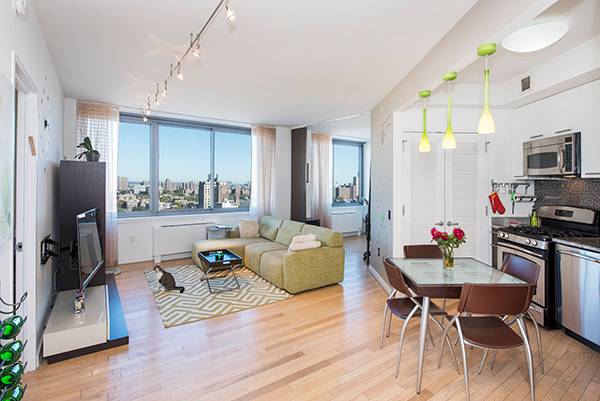 Fort Greene Two Bedroom - Unobstructed 21st Floor Views - Renovated Master Bath and Bedroom  - Custom Details