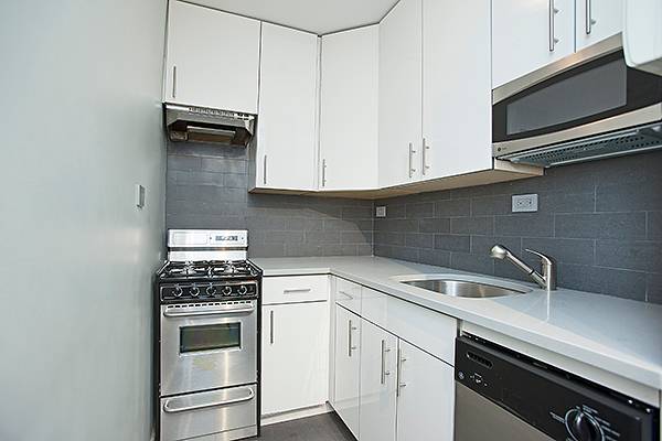 Spacious  ,Renovated, Alcove Alcove Studio with 5 Closets