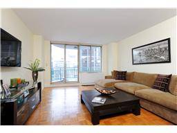 LONG ISLAND CITY'S BEST COMFORTABLE ONE BR CONDO