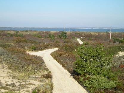 OCEANFRONT AMAGANSETT DUNES 4 BEDS WITH POOL