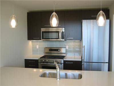 New Luxury  large  Studio  for rent  in Best Building in Long island  City