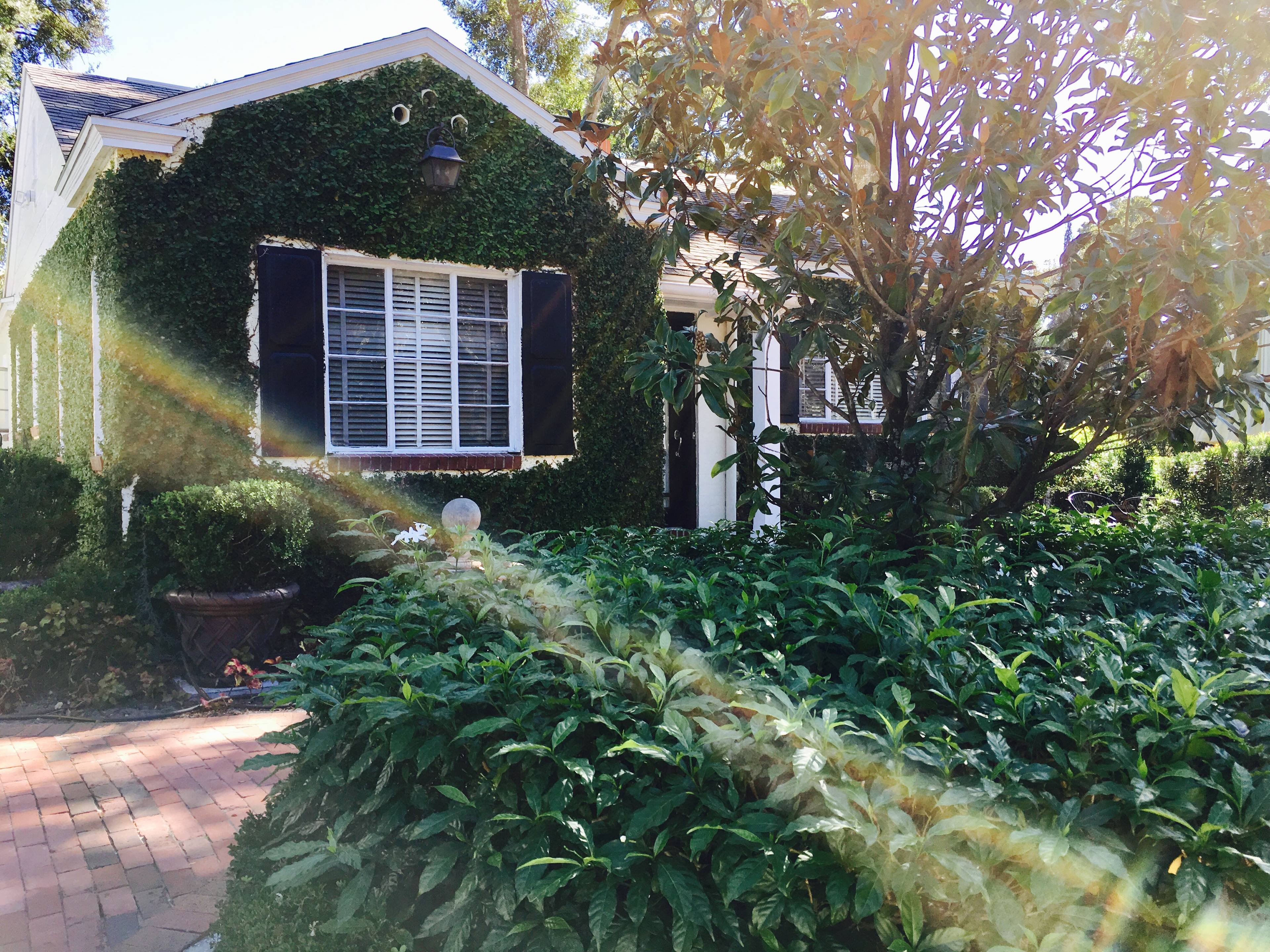 615 Bourne Place | Orlando, FL 32801