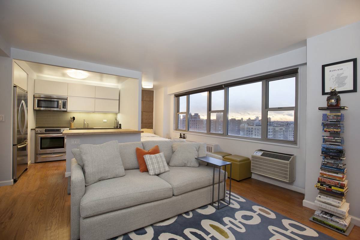 Renovated Alcove Studio with a View