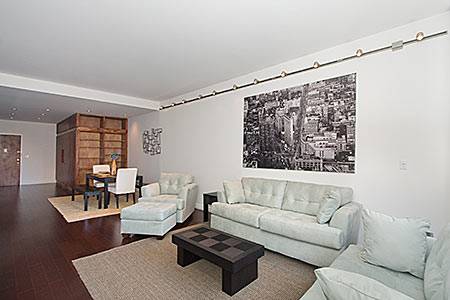 Downtown. Luxury Bldg. One Bedroom - High Ceilings. Stunning River & City Views