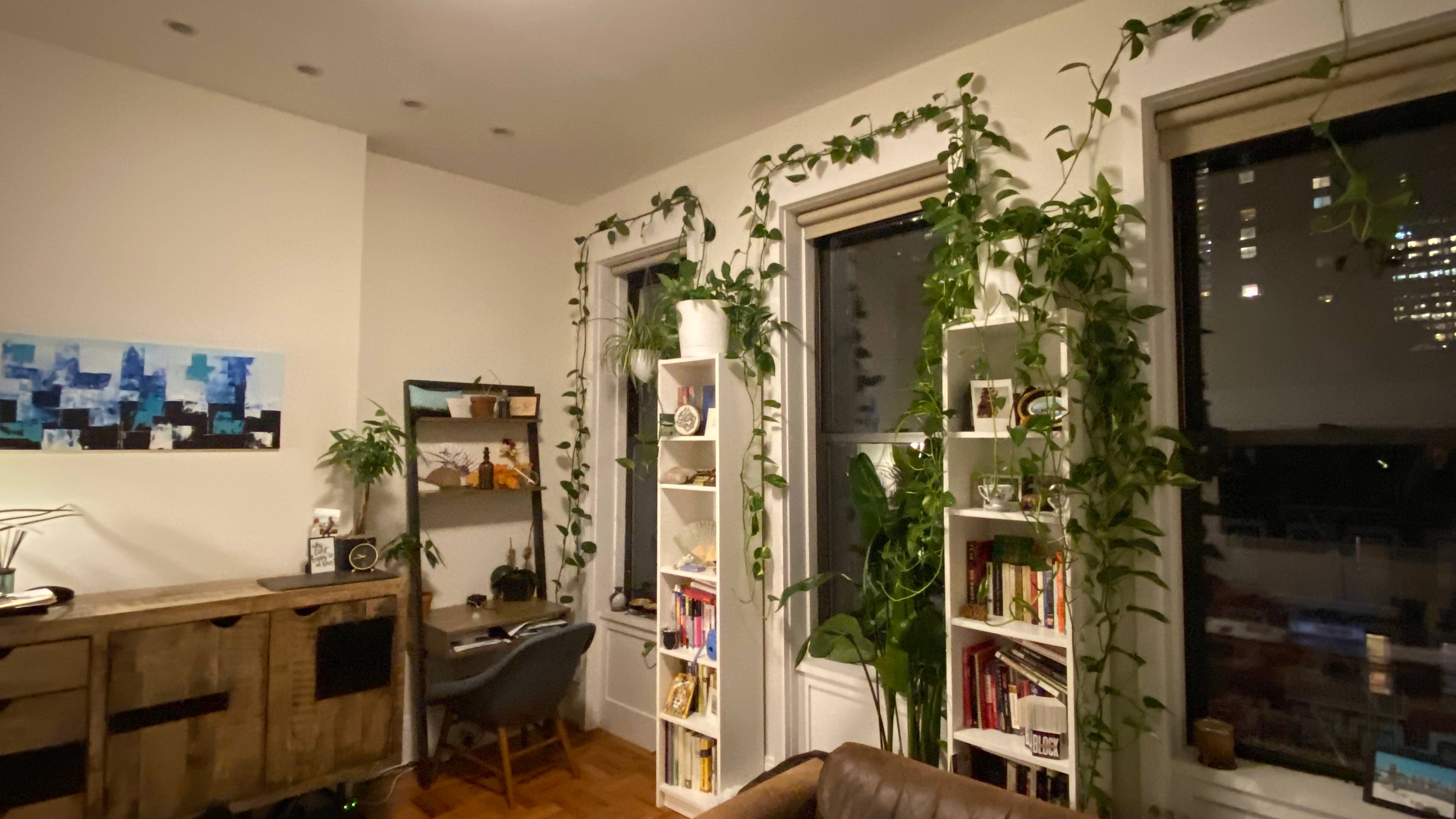 One bedroom in Hell's Kitchen near Columbus Circle, No Fee!