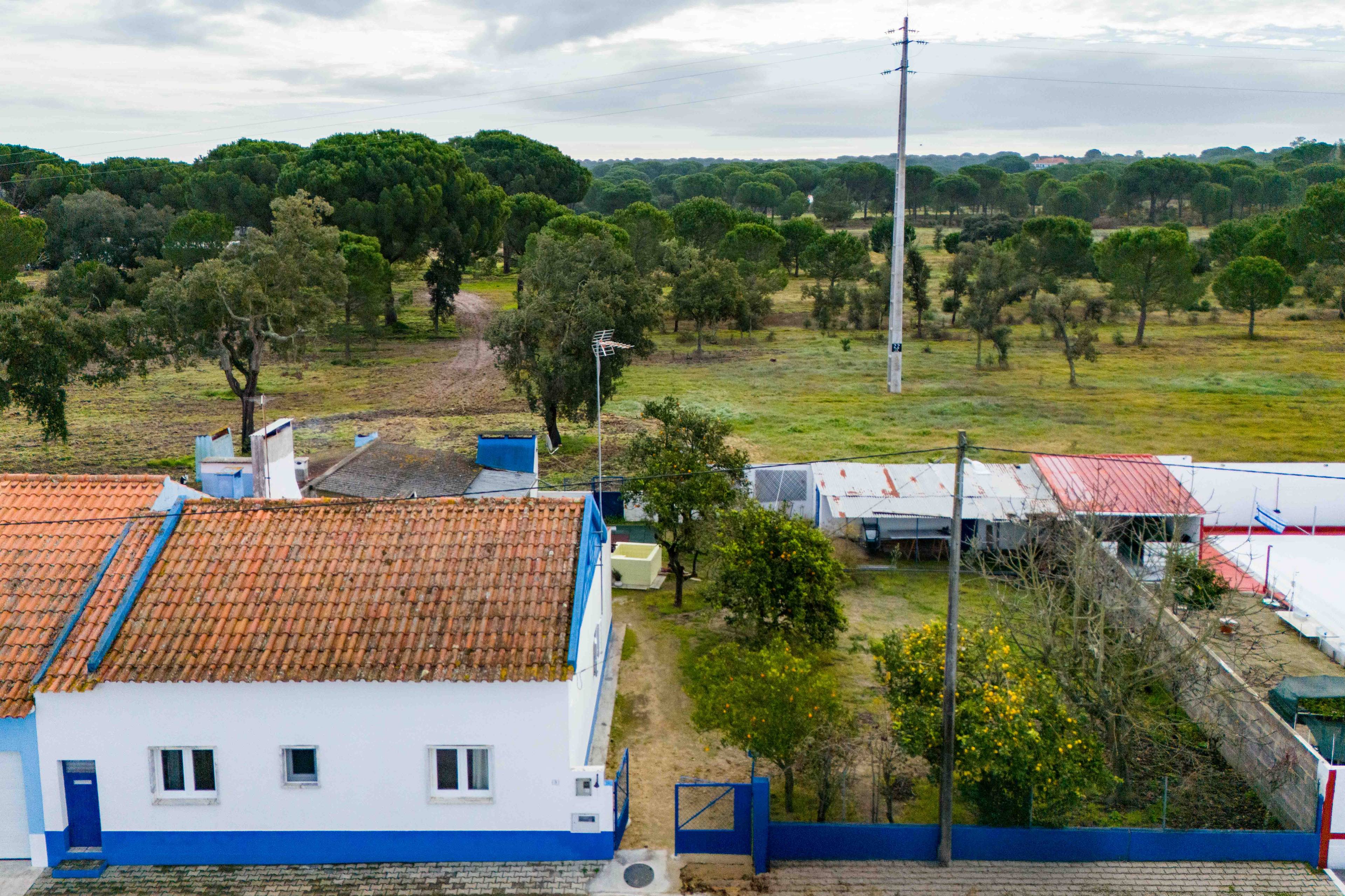 Moradia T3 Renovada | Charming T3 House with Fruit Orchard in Serene Couço
