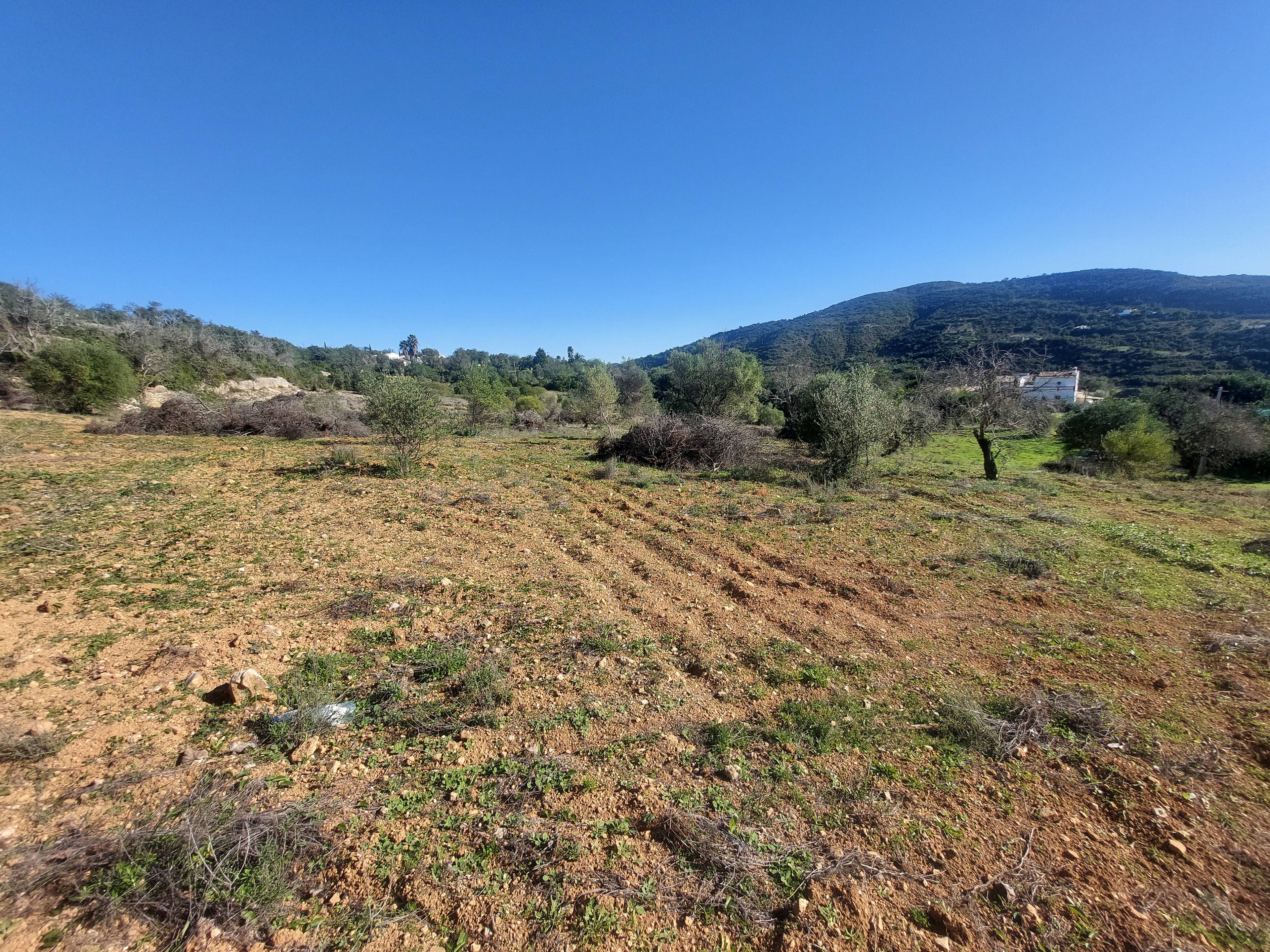 Rustique House to renovate  , Estoi  Vista Mar