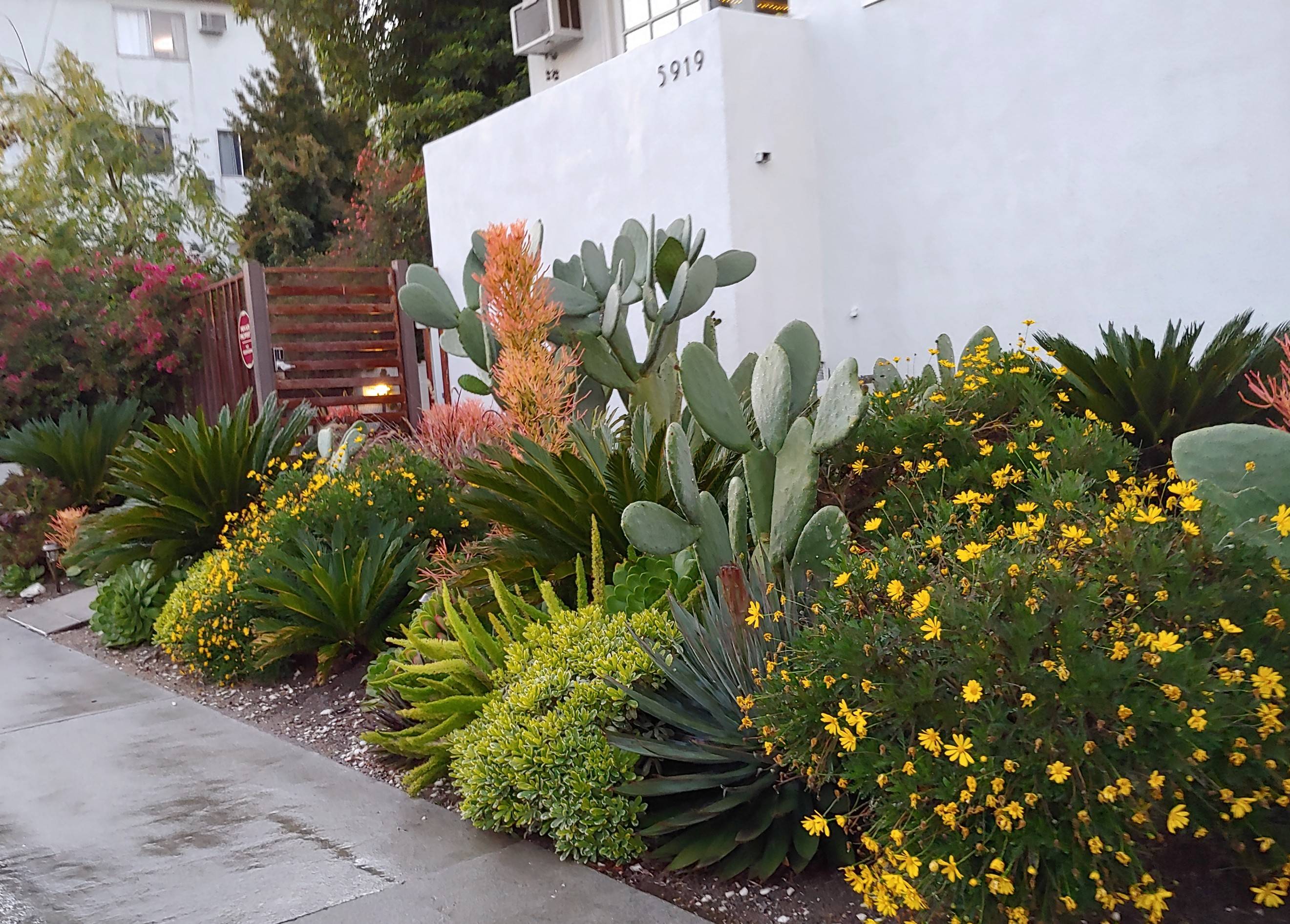 Franklin Village Furnished 6 Month Lease Available February 2020