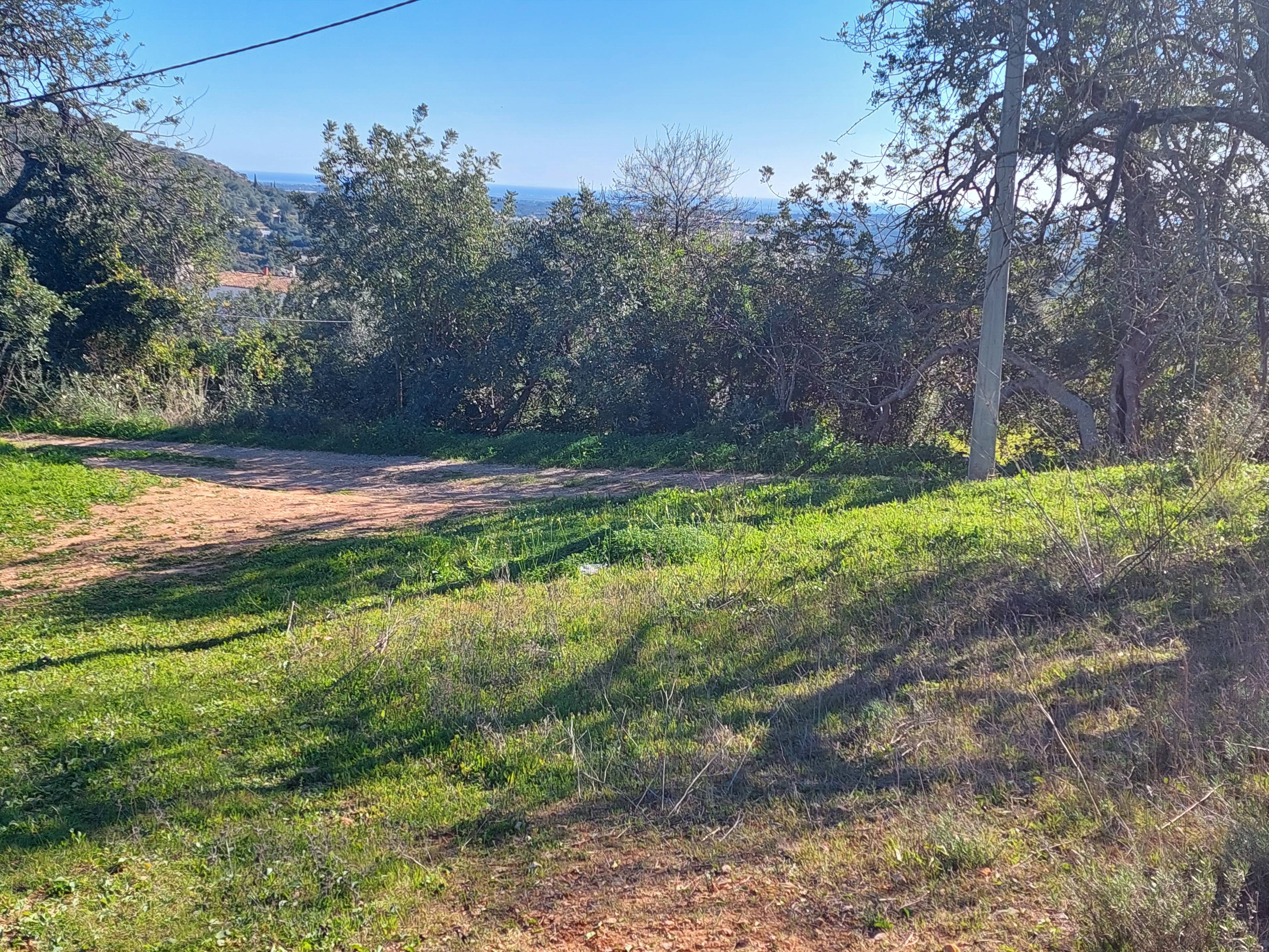 Terreno com 1 hectare e casa  , Estoi  Vista Mar