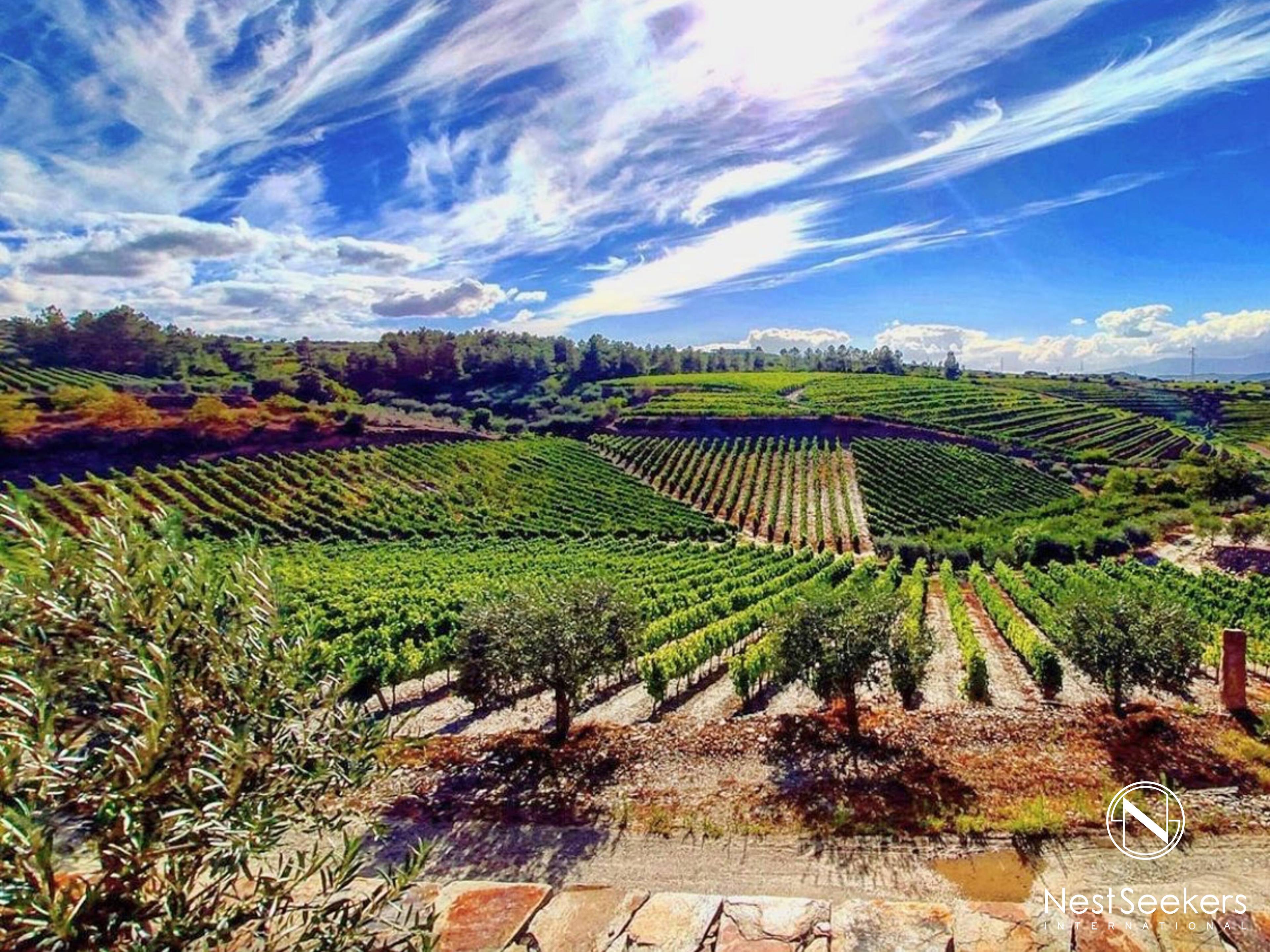 Exceptional and Unique Winery Farm, with 2 bedrooms and 5 houses in schist, 32 acres, located in the Douro Demarcated Region, in Tabuaço, Viseu, Portugal.