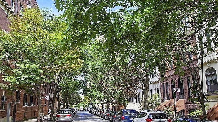 No Fee! 1Bed/1Bath with Extra High Ceilings