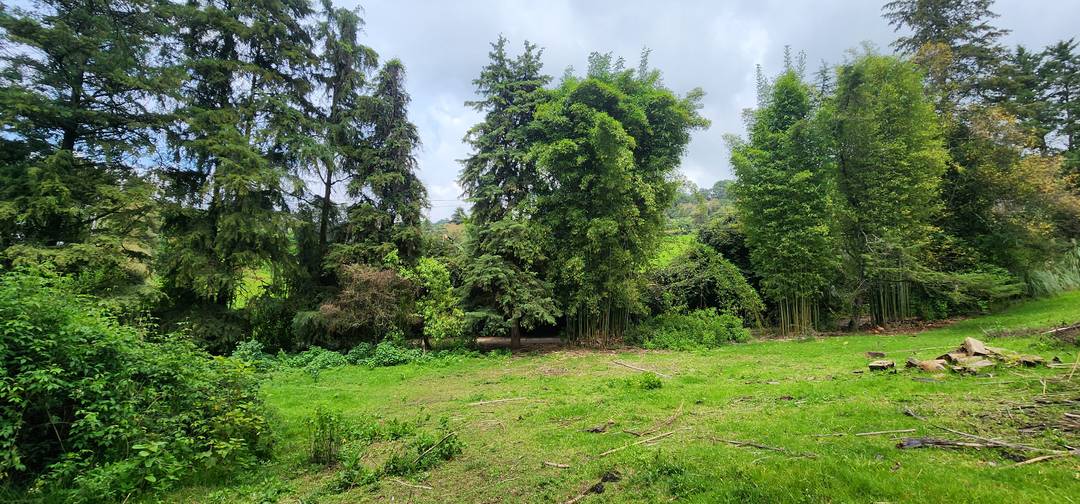 Land for sale in Acatitlán, Valle de Bravo.