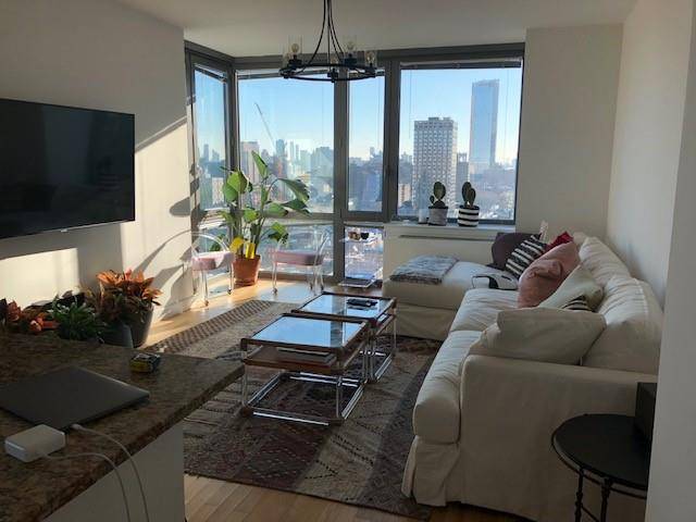 Beautiful 1 bedroom apartment with corner windows and walk-in closet in LES!