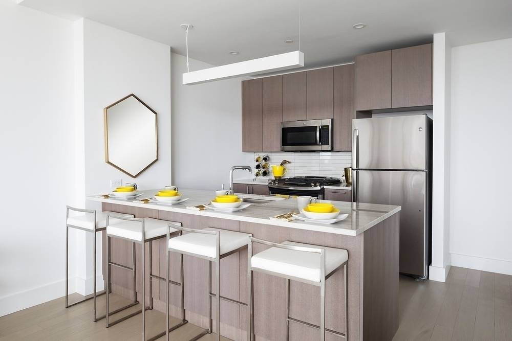 Enjoy this spectacular view of Manhattan skyline, 2 bed/ 2 bath  in luxurious fort greene building , No fee!