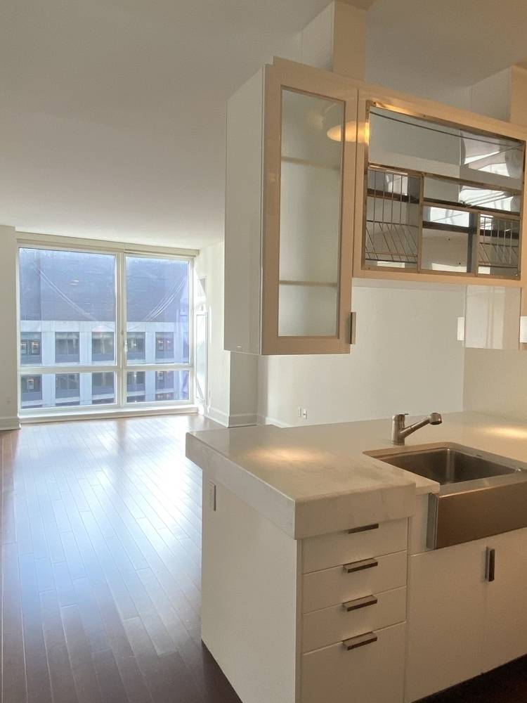 No Fee Riverside 1 Bed 1 bath Apartment in  an Amenity Filled Luxury Building