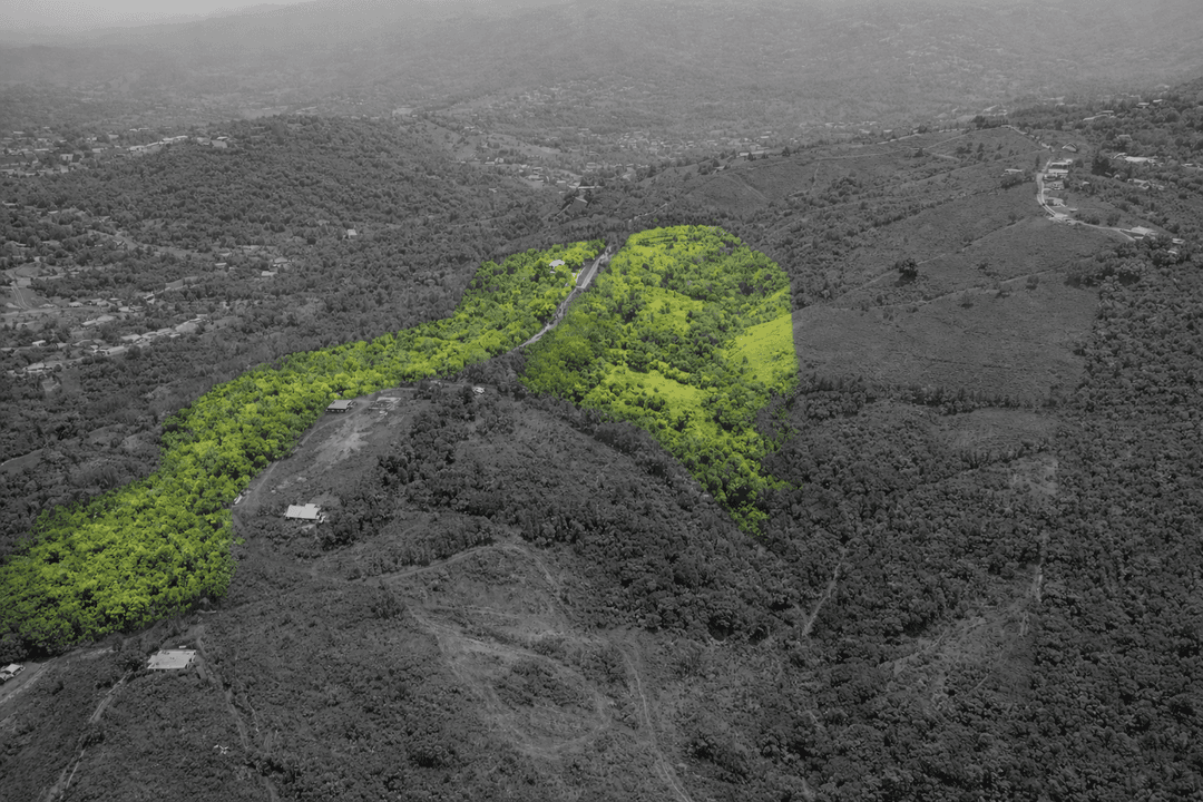 Puerto Rico’s Next Iconic Development Site | 87 Acres of Scenic Hills & Natural Springs