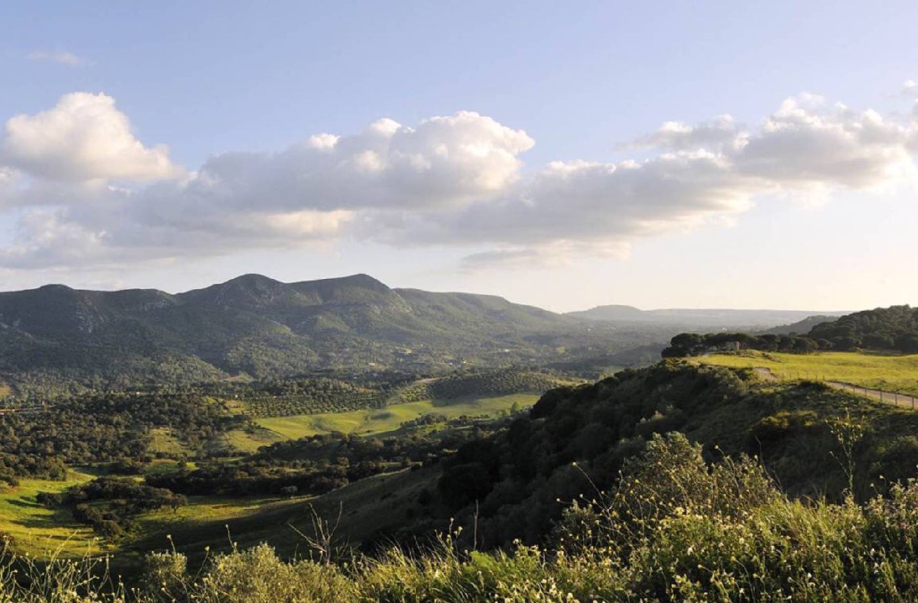 Santiago Vineyard Estate in Arrabida Natural Park